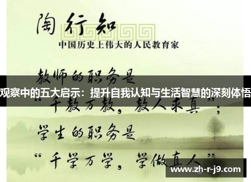 观察中的五大启示：提升自我认知与生活智慧的深刻体悟