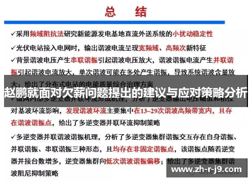 赵鹏就面对欠薪问题提出的建议与应对策略分析