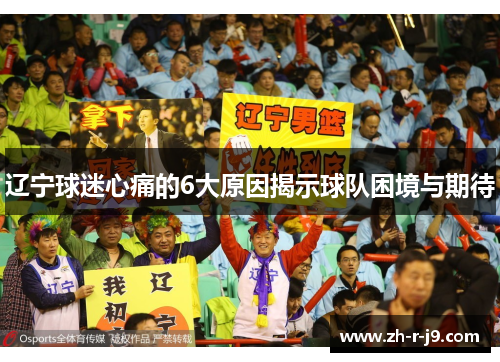 辽宁球迷心痛的6大原因揭示球队困境与期待